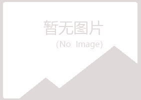 岳西县夏青金属有限公司